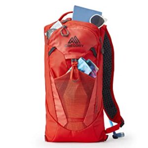 Gregory Mountain Products Tempo 6 H2O Hiking Backpack