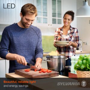 Simple Designs Mother-Daughter Floor Lamp with Reading Light (LF2000-BLK) | Sylvania LED Light Bulbs (60W Equivalent)