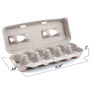 MT Products Blank Natural Pulp Egg Cartons Holds Up Twelve Eggs - 1 Dozen (25 Pieces) and Plastic Deviled Egg Trays With Clear Lid For Six Egg Halves (Set of 12)