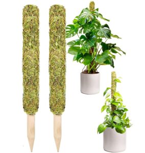 moss pole,moss pole for plants monstera,2 pack extending to 27inch natural forest moss poles for climbing plants,plant poles for potted plants indoor,moss stick used separately or joined together.