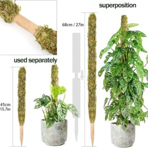 Moss Pole,Moss Pole for Plants Monstera,2 Pack Extending to 27inch Natural Forest Moss Poles for Climbing Plants,Plant Poles for Potted Plants Indoor,Moss Stick Used Separately or Joined Together.