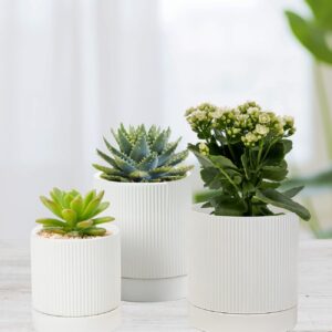 LaDoVita 3 Pack Ceramic Plant Pots 6/5/4 inch, Flowerpot for Indoor Plants with Drainage Holes and Tray, Outdoor Garden Planters, Modern Decorative for Home, White Vertical Stripes