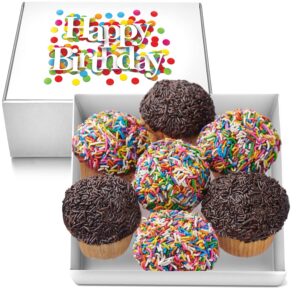 happy birthday cupcakes large gift basket rainbow sprinkle chocolate sprinkle | 7 individually wrapped fresh cupcakes | party food gift