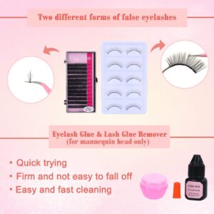 325 PCS Professional Lash Extension Supplies Kit with Lash Clusters,Lash Fan, Glue,Eyelash Remover,Tweezers for Beginners