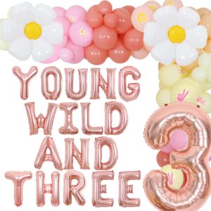 joymemo groovy 3rd birthday party decorations, young wild and three daisy flower balloons garland kit, groovy retro boho girls third birthday party supplies