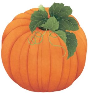 caspari pumpkin die-cut placemat - set of 2