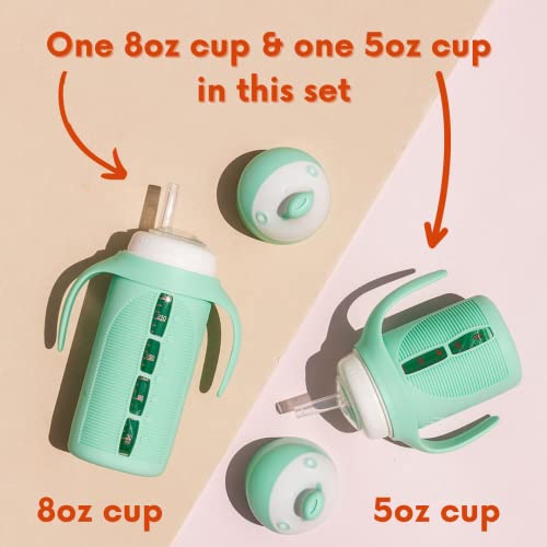 Tabor Place - Set of 2 Sampler pack - Glass Sippy Cup for Toddlers - 1 Large 8oz & 1 Mini 5 oz cup in Mint Green