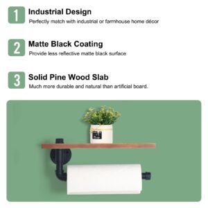 HouseAid Industrial Pipe Paper Towel Holder with Shelf, Rustic Farmhouse Paper Towel Rack for Bathroom, Kitchen, Wall Mounted, Matte Black