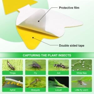 40 Pcs 5 Shapes Yellow Extremely Sticky Traps for Fruit Fly, Whitefly, Fungus Gnat, Insect Catcher Traps for Indoor/Houseplants/Kitchen, Protect The Plant, Non-Toxic, Odorless, Pet & Kid Safe