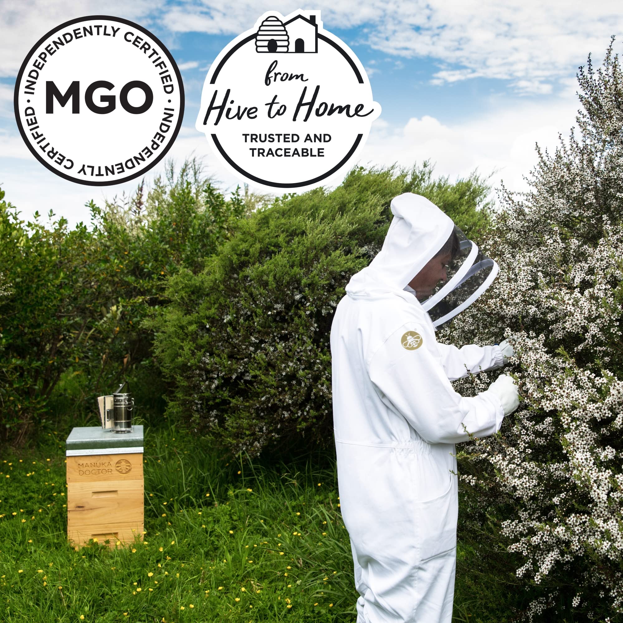 MANUKA DOCTOR - Raw Manuka Honey MGO 30+ SQUEEZY, 100% Pure New Zealand Honey. Certified. Guaranteed. RAW. Non-GMO (10.58 oz)