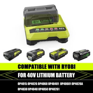 Bakipante OP401 40V Battery Charger Compatible with Ryobi 40V Battery Charger for OP4015 OP4026 OP4026A OP4030 OP40301 OP4040 OP4050 OP4050A Lithium-ion Battery