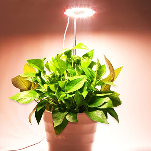 Grow Light, CANAGROW Full Spectrum LED Plant Lights for Indoor Plants, Height Adjustable Plant Halo Growing Lamps, Auto On/Off Timer, 3 Lighting Modes & 10 Dimmable Brightness for Small Plants