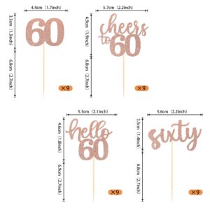 36 Pack 60th Birthday Cupcake Toppers Rose Gold Glitter Cheers to 60 Cake Toppers Hello 60 Sixty Cupcake Picks Decorations for 60th Birthday Anniversary Party Supplies