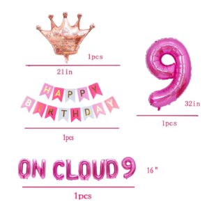 pink on cloud 9 th birthday