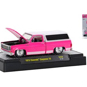 1973 Chevy Cheyenne 10 Pickup w/Camper Shell C Bright Pink w/White Top Diecastz Collectors Ltd Ed 1/64 Diecast Model M2 Machines 31500-RZ02-C