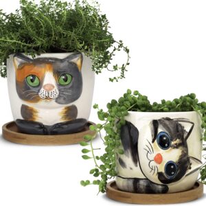 window garden cat planter - large kitty pot for indoor house plants, succulents, flowers and herbs (sebby) & animal planters - large kitty pot (barney) purrfect for indoor live house plants