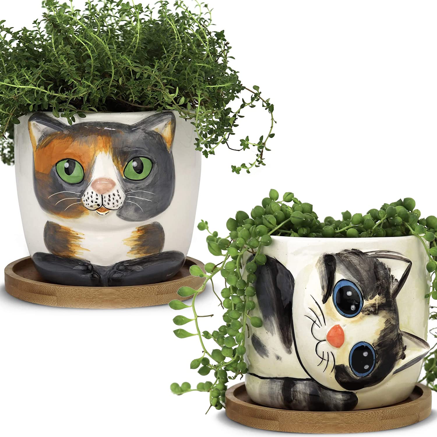 Window Garden Cat Planter - Large Kitty Pot for Indoor House Plants, Succulents, Flowers and Herbs (Sebby) & Animal Planters - Large Kitty Pot (Barney) Purrfect for Indoor Live House Plants