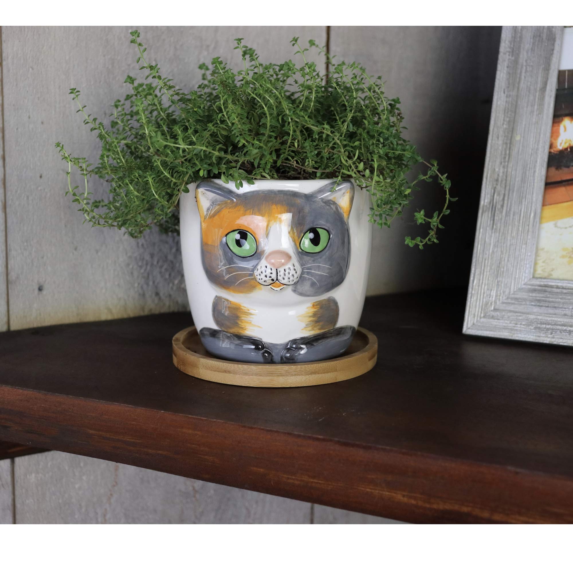 Window Garden Cat Planter - Large Kitty Pot for Indoor House Plants, Succulents, Flowers and Herbs (Sebby) & Animal Planters - Large Kitty Pot (Barney) Purrfect for Indoor Live House Plants