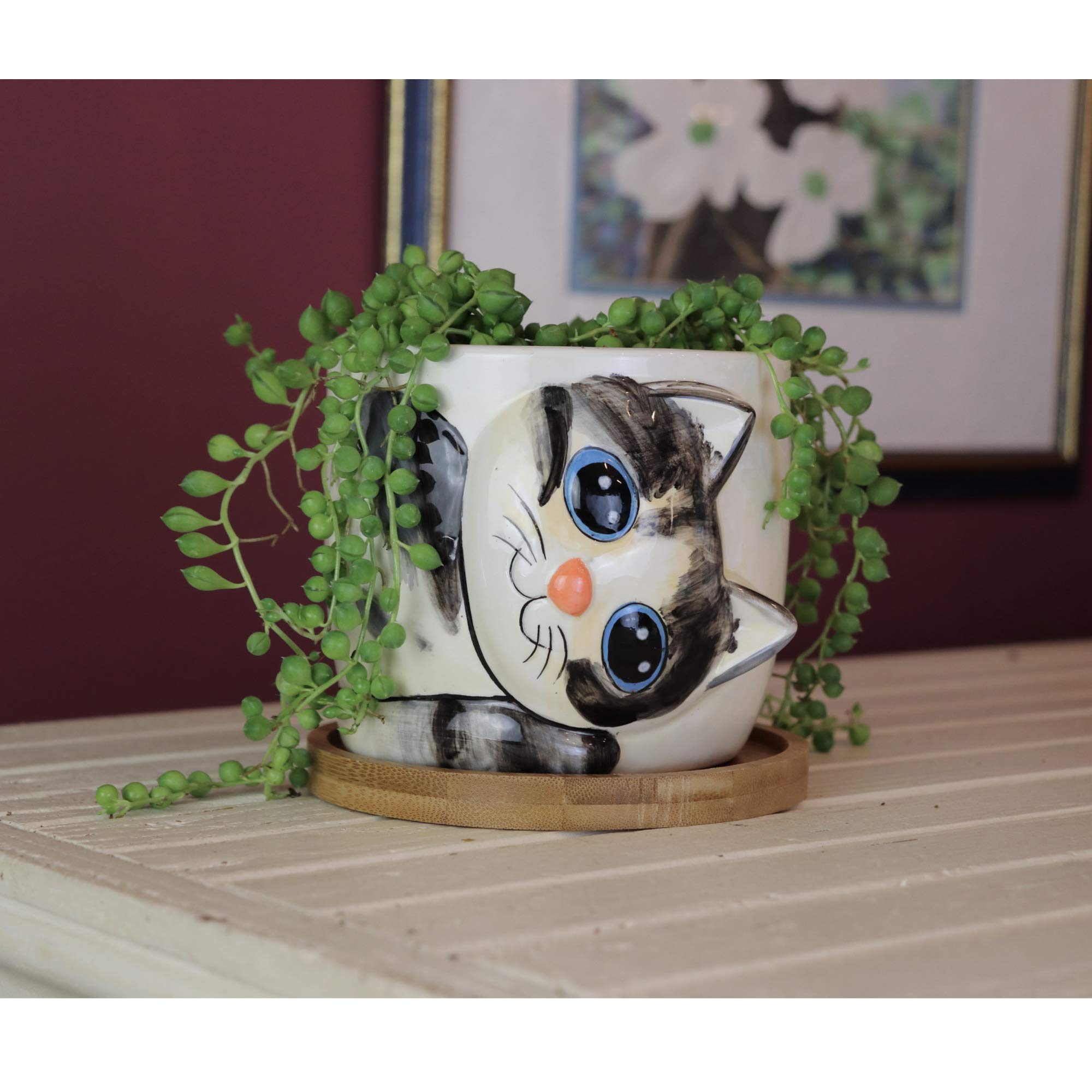 Window Garden Cat Planter - Large Kitty Pot for Indoor House Plants, Succulents, Flowers and Herbs (Sebby) & Animal Planters - Large Kitty Pot (Barney) Purrfect for Indoor Live House Plants