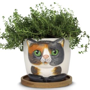 Window Garden Cat Planter - Large Kitty Pot for Indoor House Plants, Succulents, Flowers and Herbs (Sebby) & Animal Planters - Large Kitty Pot (Barney) Purrfect for Indoor Live House Plants
