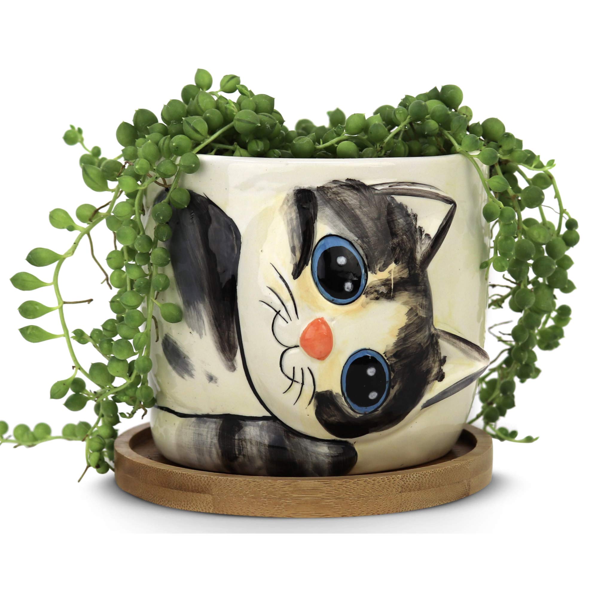 Window Garden Cat Planter - Large Kitty Pot for Indoor House Plants, Succulents, Flowers and Herbs (Sebby) & Animal Planters - Large Kitty Pot (Barney) Purrfect for Indoor Live House Plants