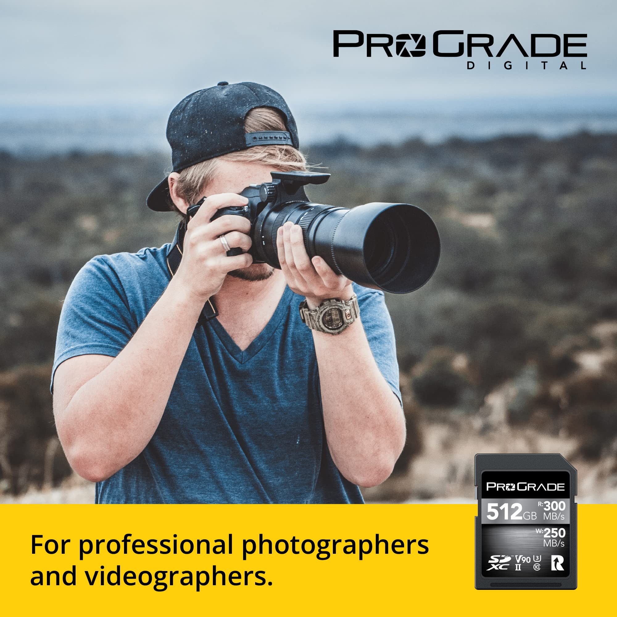 ProGrade Digital SDXC UHS-II V90 300R Memory Card (512GB)