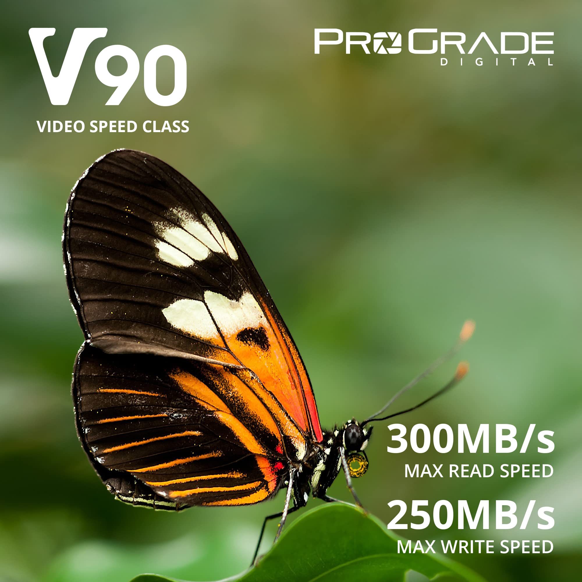 ProGrade Digital SDXC UHS-II V90 300R Memory Card (512GB)
