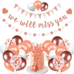 we will miss you banner coworker going away farewell decorations rose gold glitter dot circle garland triangle flag banner for goodbye, retirement, job change, later traitor party supplies (rose gold)