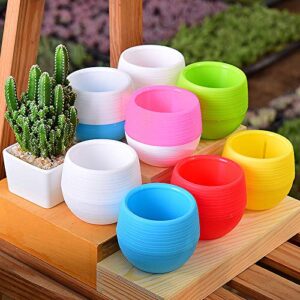 Elsjoy 30 Pack Mini Succulent Pot, 3 Inch Plastic Seed Starter Pots Small Cute Succulent Planter with Drainage for Indoor & Outdoor Plants, Home Decor, Free Assembly