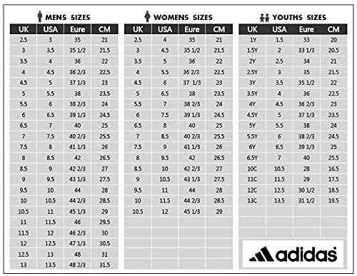 Adidas Originals Ultraboost 5.0 DNA Womens Running Trainers (UK 6 US 7.5 EU 39 1/3, White Black Grey FZ1853)