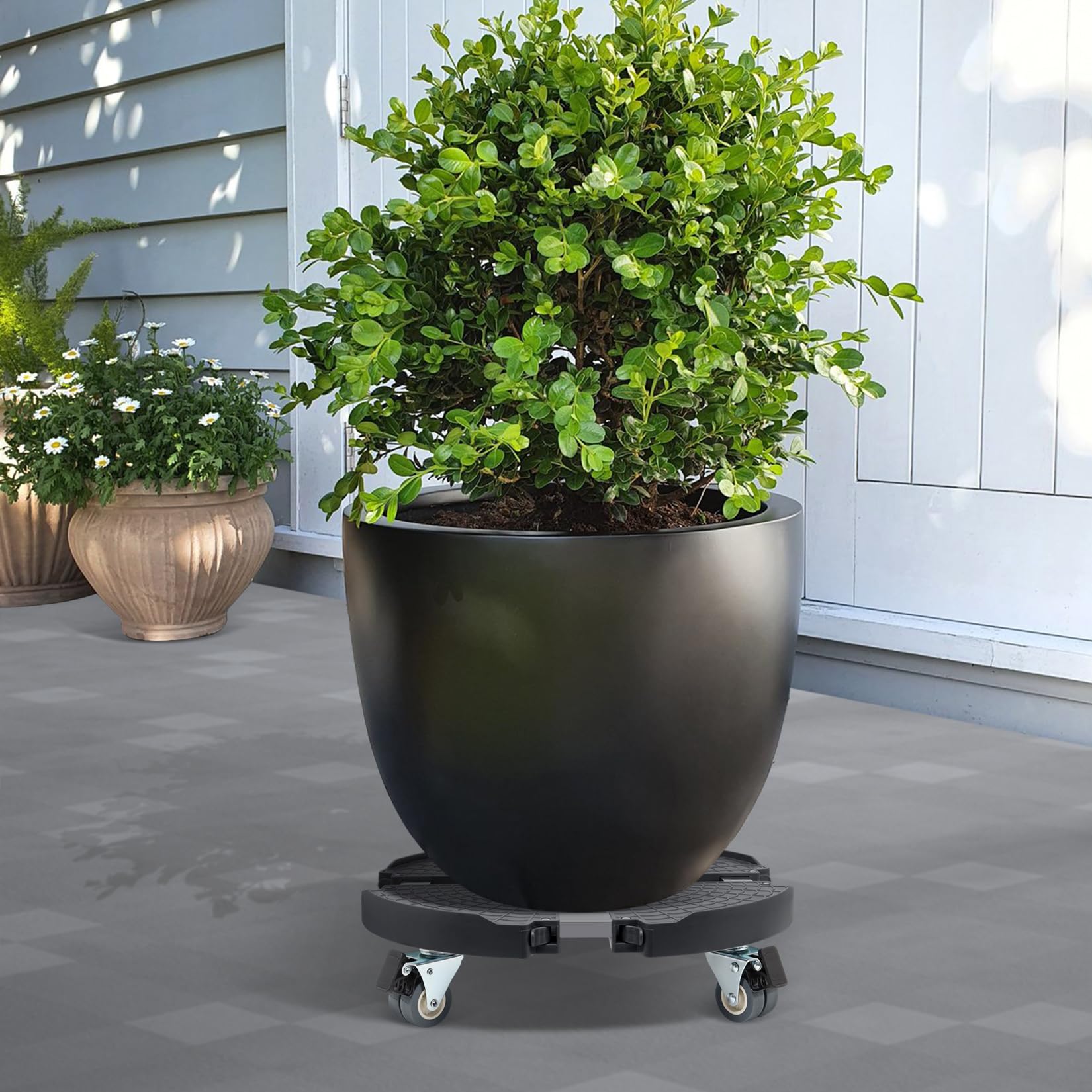 W B D WEIBIDA Plant Rollers with Wheels Heavy Duty, Adjustable 12 14 16 18 Inch Plant Caddy with Casters, Rolling Plant Stand, Large Potted Planter Cart Dolly for Flower Pot Outdoor Indoor