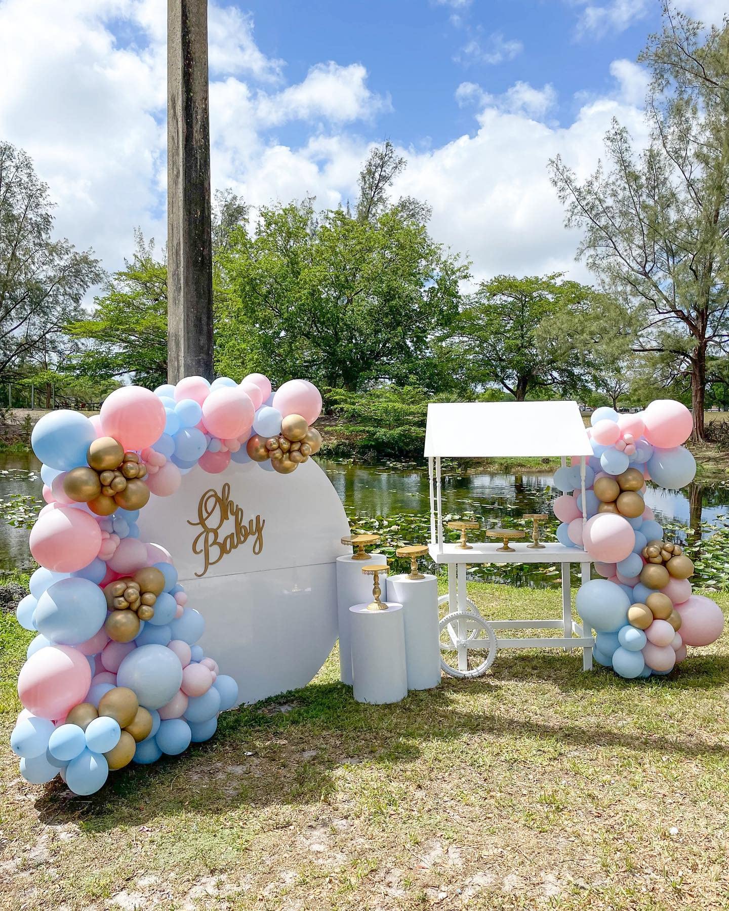 DIY Gender Reveal Balloons Arch Pink And Blue Gender Reveal Balloons Garland Kit With Metallic Gold Balloons Gender Reveal Decorations For He or She Boy or Girl Party Supplies Gender Reveal Balloons