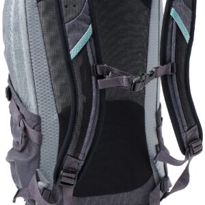 Osprey Quasar Commuter Backpack, Silver Lining/Tunnel Vision Pop