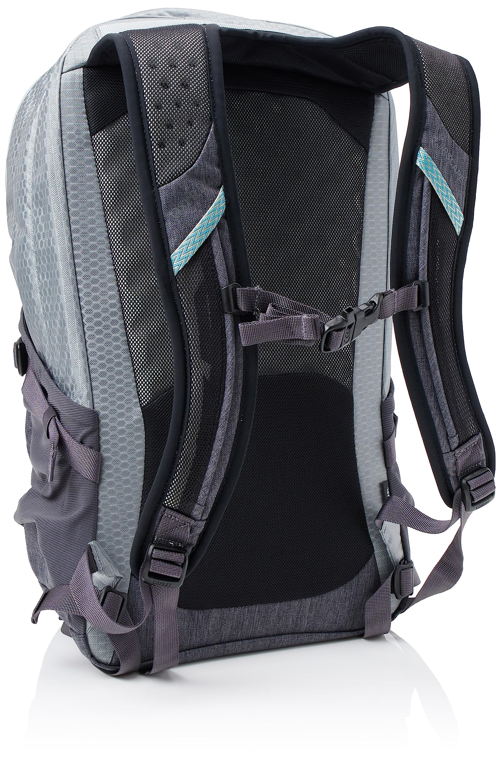 Osprey Quasar Commuter Backpack, Silver Lining/Tunnel Vision Pop