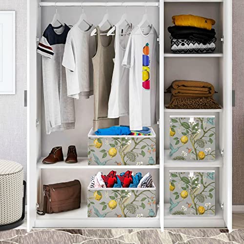 Lemons Flowers Hummingbirds Storage Basket Storage Bin Square Collapsible Nursery Hamper Decorative Storage Boxes Organizer for Home Office Dorm Shelf