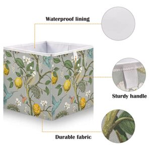 Lemons Flowers Hummingbirds Storage Basket Storage Bin Square Collapsible Nursery Hamper Decorative Storage Boxes Organizer for Home Office Dorm Shelf