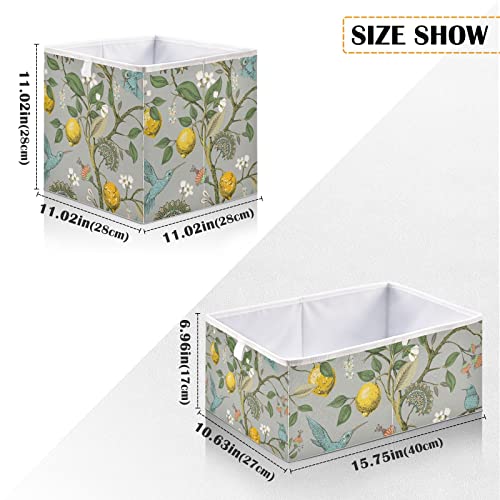 Lemons Flowers Hummingbirds Storage Basket Storage Bin Square Collapsible Nursery Hamper Decorative Storage Boxes Organizer for Home Office Dorm Shelf