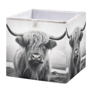 kigai storage basket highland cow foldable storage bin 11 x 11 x 11 inches cube storage baskets box for shelves closet laundry nursery bedroom home decor