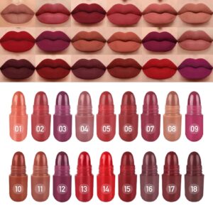 lsxia 18 colors capsule pills lipstick mini lip-stick set, long lasting mini matte lipstick lip stain lip tint - labiales mate 24 horas originales, cute dark red matte lipsticks set for women