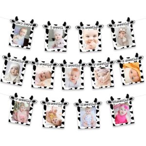 joymemo 13pcs cow 12 month photo banner - 1st birthday baby banner for newborn to 12 months, cow print birthday party decorations, farm barnyard cowboy cowgirl first birthday party supplies