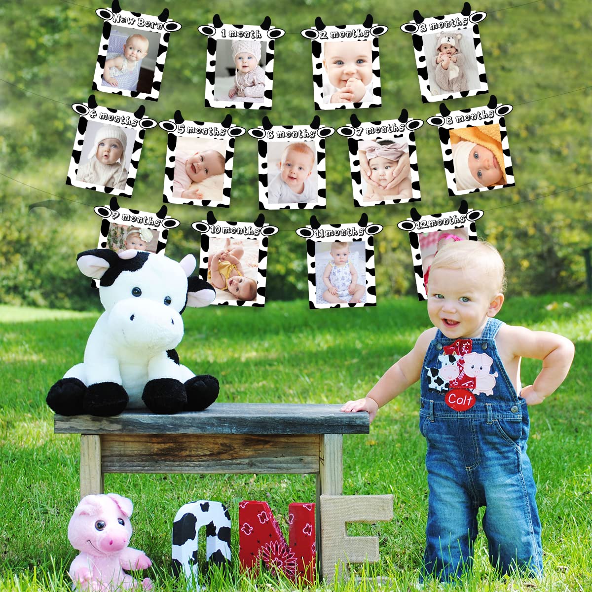 JOYMEMO 13PCs Cow 12 Month Photo Banner - 1st Birthday Baby Banner for Newborn to 12 Months, Cow Print Birthday Party Decorations, Farm Barnyard Cowboy Cowgirl First Birthday Party Supplies