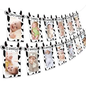 JOYMEMO 13PCs Cow 12 Month Photo Banner - 1st Birthday Baby Banner for Newborn to 12 Months, Cow Print Birthday Party Decorations, Farm Barnyard Cowboy Cowgirl First Birthday Party Supplies