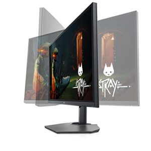 Dell G3223Q Gaming Monitor - 32-Inch 4K Ultra UHD (3840x2160), 144Hz 1Ms Display, AMD FreeSync+NVIDIA G-SYNC Compatible, Height/Swivel/Tilt Adjustability, 3yr Advanced Exchange - Black