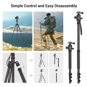 SmallRig 71" Camera Tripod Monopod with Detachable 360° Ball Head, Quick Release Plate, Max. Payload 33lb, Adjustable Height 16-71 inches for Travel, Video, Live Streaming, Vlogging