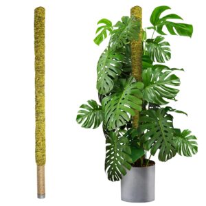 duspro 59’’ inches large moss pole for plants monstera, tall indoor plant stake support for big climbing pothos long handmade forest moss totem/giant trellis (extra large size)