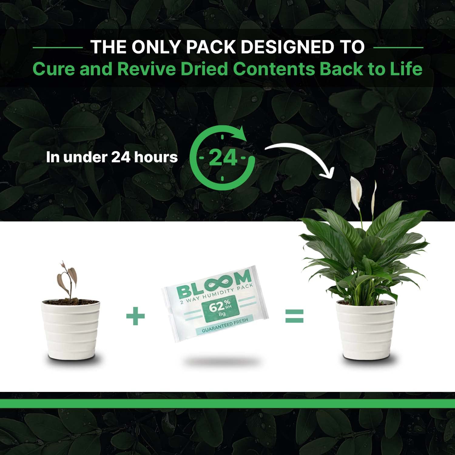 BLOOM 62% Humidity Packs by Herb Guard (10 Pack) - 8g Guaranteed to Keep Up to 1 Ounce Fresh for Months & Revive Dry Contents Back to Life