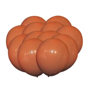 40pcs diy balloons garland kit double stuffed balloon 5in 10in light brown coffee rust balloons neutral terracotta balloon arch bridal shower birthday baby shower balloons decorations (chai)