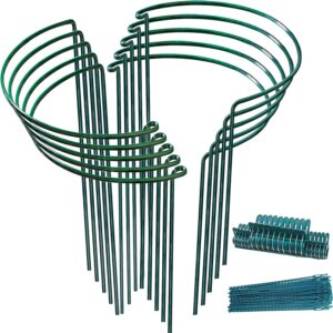 10pack garden plant support stake 10"wide x 16"high half round metal garden plant support ring border support, plant support ring cage for rose flowers vine tomato with 20pack plant clips &plant ties