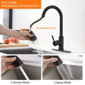 OWOFAN Touchless Kitchen Faucet with Pull Down Sprayer LED Light Single Handle Kitchen Sink Faucet Motion Sensor Smart Hands-Free, Stainless Steel Black 1072R