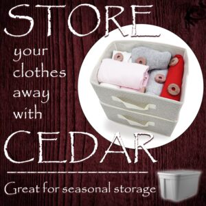 Cedar Rings - 20 Pack - Cedar Sense - Made in U.S.A.- Cedar Blocks for Clothes Storage - Cedar for Closets and Drawers